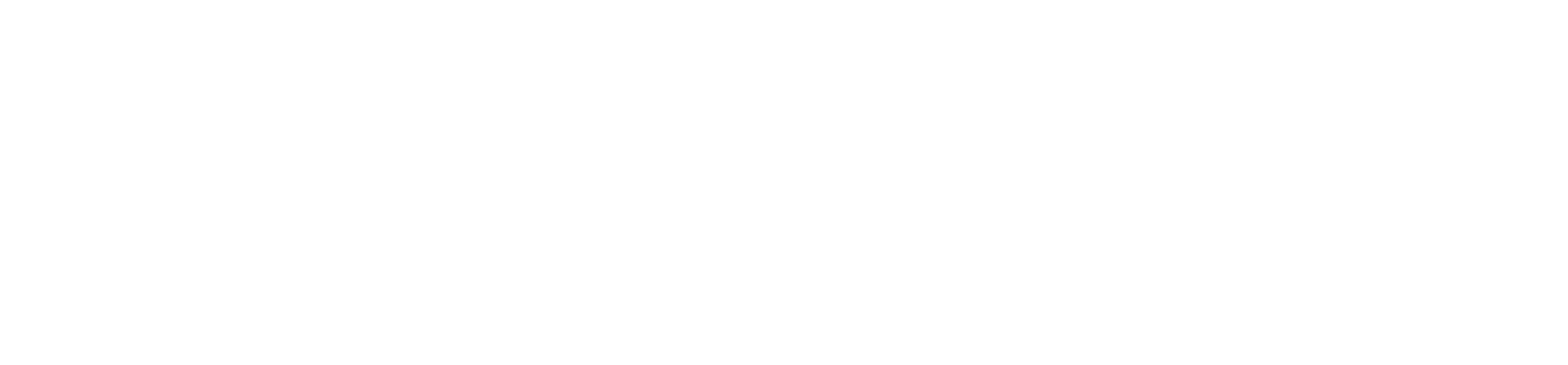 Logo ANYCAR en blanc sur fond rouge