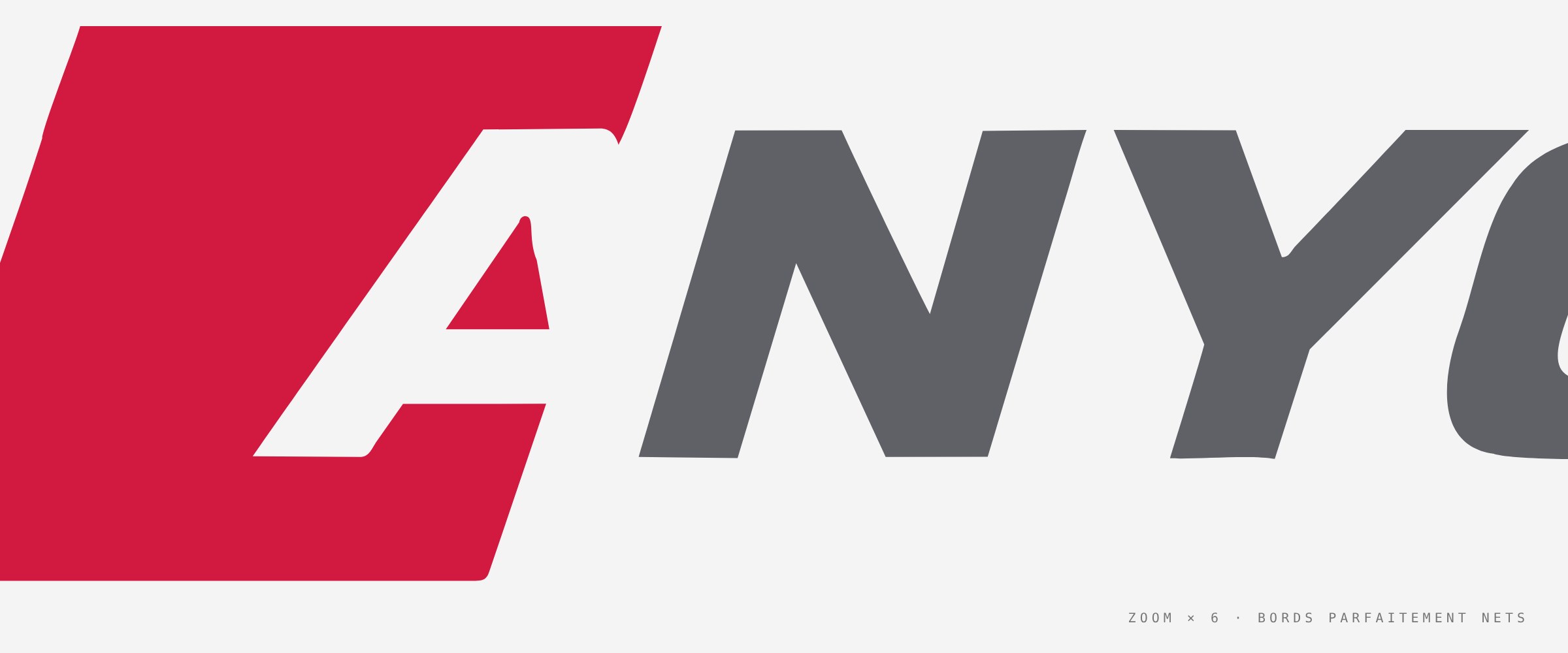 Zoom sur le logo ANYCAR : des bords parfaitement nets